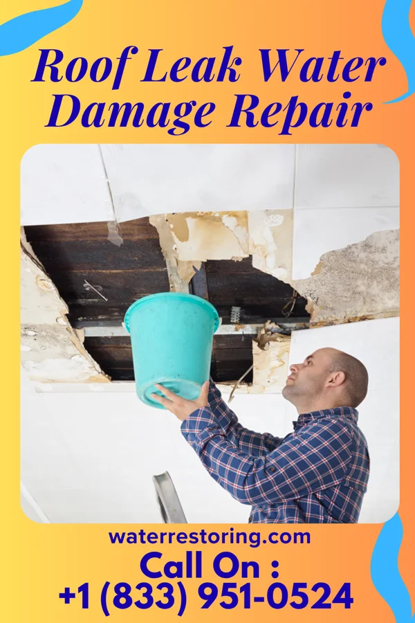 Roof Leak Water Damage Repair in Elsah, IL